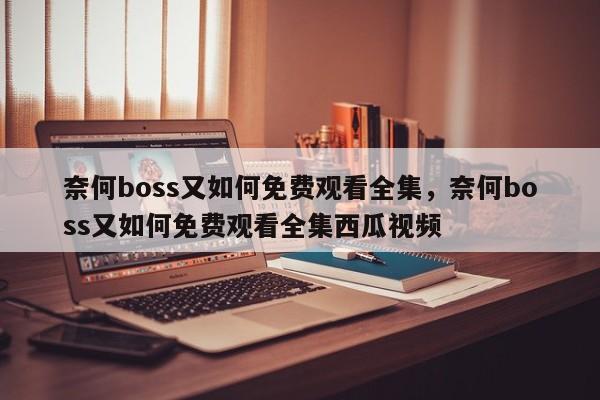 奈何boss又如何免费观看全集，奈何boss又如何免费观看全集西瓜视频