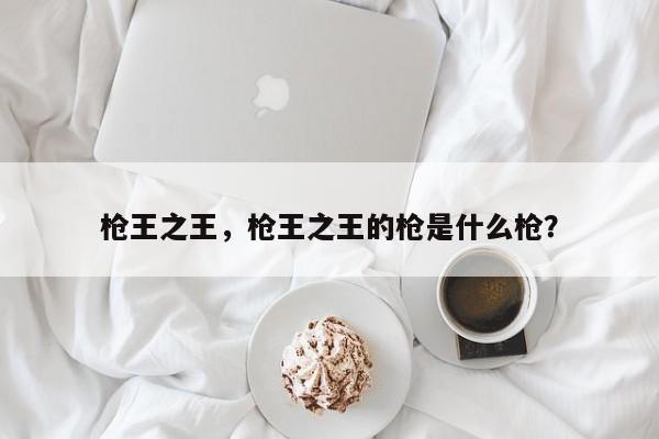 枪王之王，枪王之王的枪是什么枪？