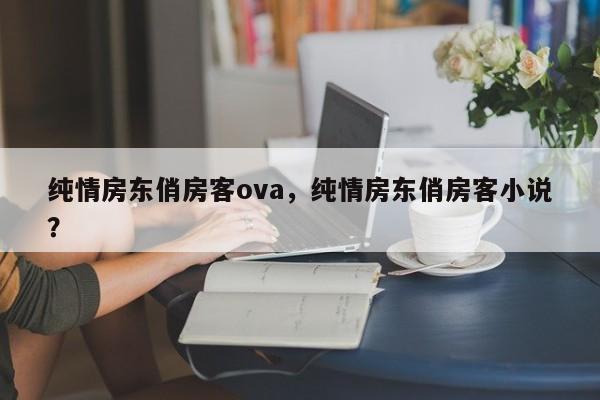 纯情房东俏房客ova，纯情房东俏房客小说？