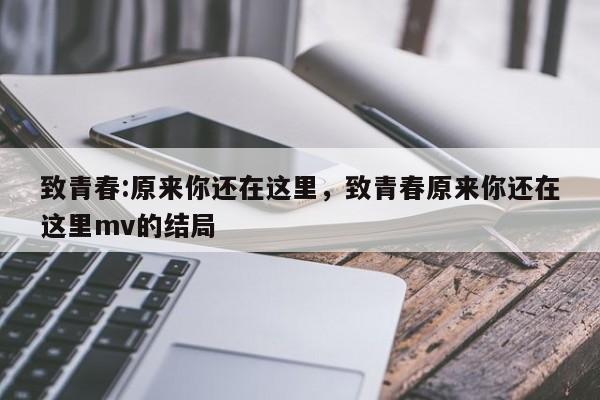 致青春:原来你还在这里，致青春原来你还在这里mv的结局