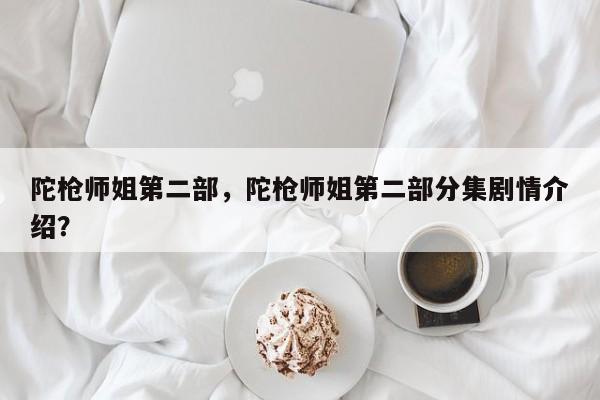 陀枪师姐第二部，陀枪师姐第二部分集剧情介绍？