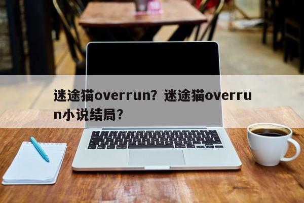 迷途猫overrun？迷途猫overrun小说结局？