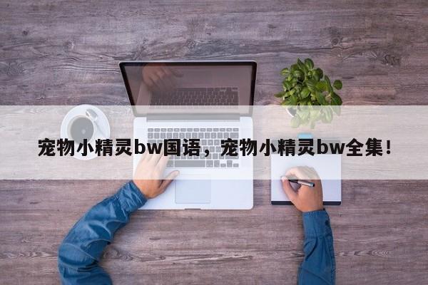 宠物小精灵bw国语，宠物小精灵bw全集！