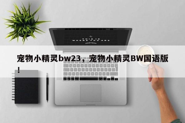 宠物小精灵bw23，宠物小精灵BW国语版！