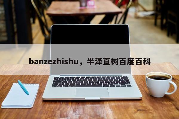 banzezhishu，半泽直树百度百科