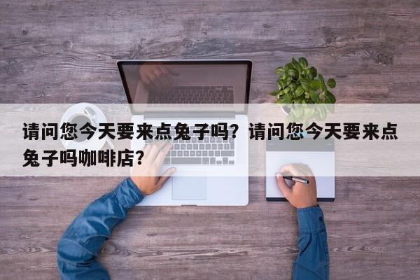 请问您今天要来点兔子吗？请问您今天要来点兔子吗咖啡店？